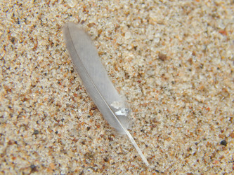 Similar image 8930905