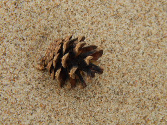 Similar image 8930906