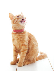 Similar image 8930914