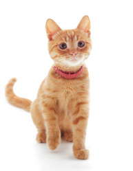 Similar image 8930916