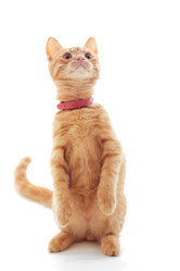 Similar image 8930917