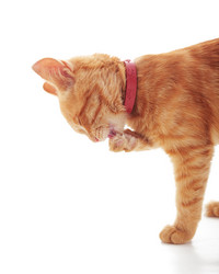 Similar image 8930921