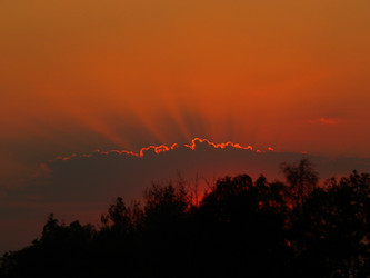 Similar image 8930926