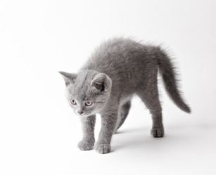 Similar image 8930951