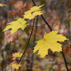 Similar image 8934532