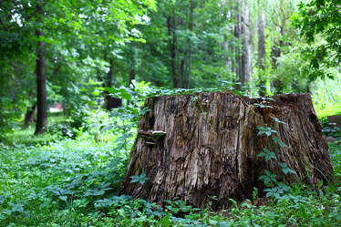 Similar image 8934535