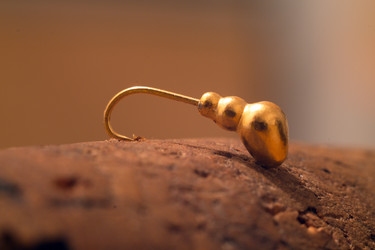 Similar image 8934548