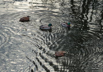 Similar image 8934550