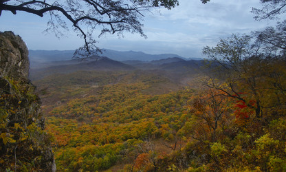 Similar image 8934565