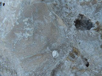 Similar image 8934850