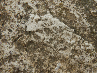 Similar image 8934854