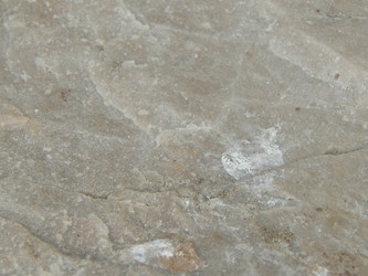 Similar image 8934858