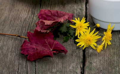 Similar image 8934877