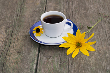 Similar image 8934890