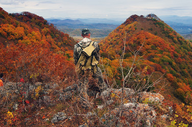 Similar image 8934919