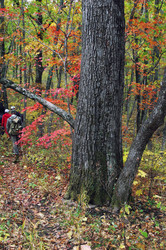 Similar image 8934921