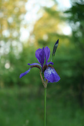 Similar image 8934998