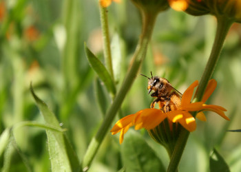 Similar image 8935000