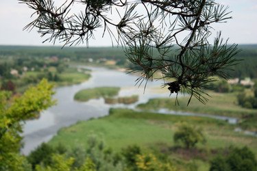 Similar image 8935002