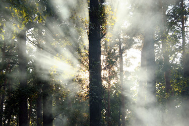 Similar image 8935004