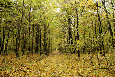 Similar image 8935018