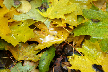 Similar image 8935021