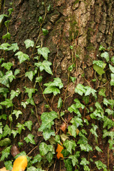 Similar image 8935023