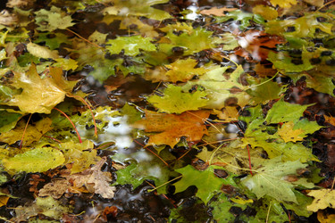 Similar image 8935025