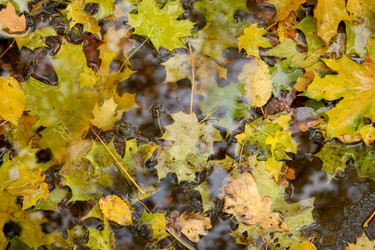 Similar image 8935027