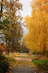 Similar image 8935030