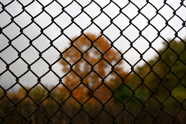 Similar image 8935032