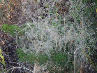 Similar image 8938430