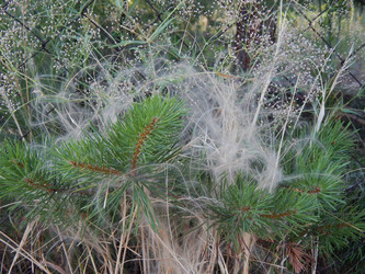 Similar image 8938435