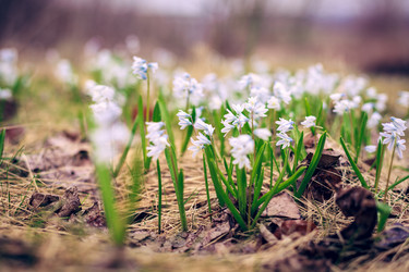 Similar image 8939907