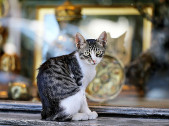 Similar image 8940527