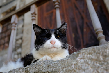 Similar image 8940548