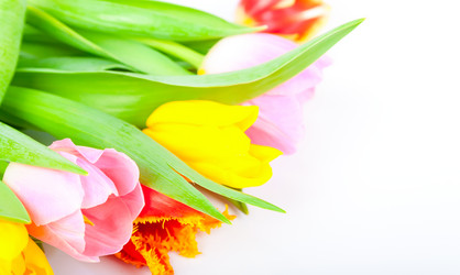 Similar image 8941046