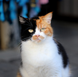 Similar image 8941049