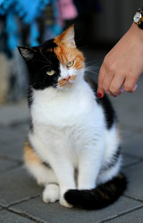 Similar image 8941059