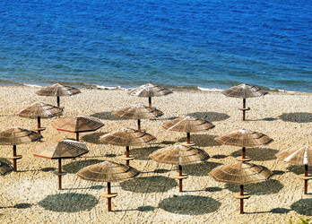 Similar image 8941064