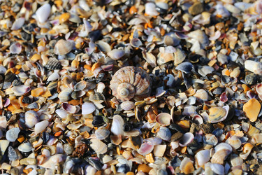 Similar image 8941073