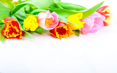 Similar image 8941128