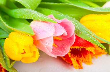 Similar image 8941131