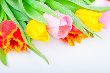 Similar image 8941134