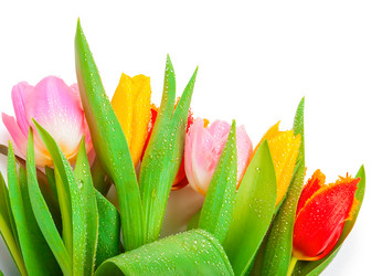 Similar image 8941136