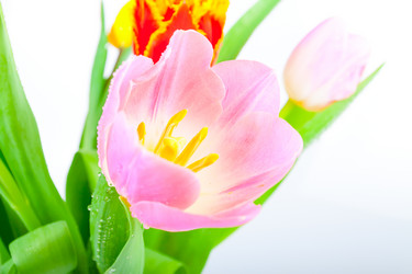 Similar image 8941140