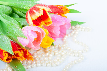 Similar image 8941143