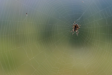 Similar image 8941208