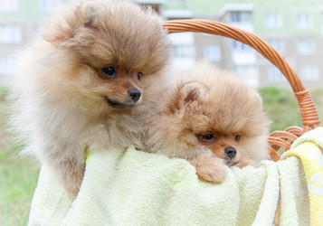 Similar image 8941210