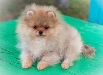 Similar image 8941212